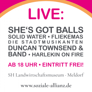 Instagram-PostScreens-SozialeAllianz-StiftungMensch-22-1080px-02